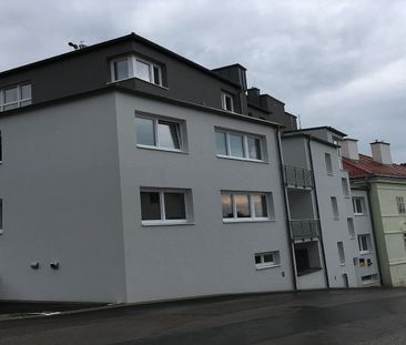 SCHEIBBS XIX/1 - Foto 1