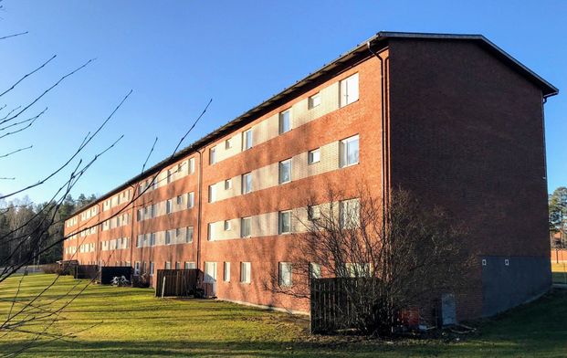 Skogvaktaren - Foto 1