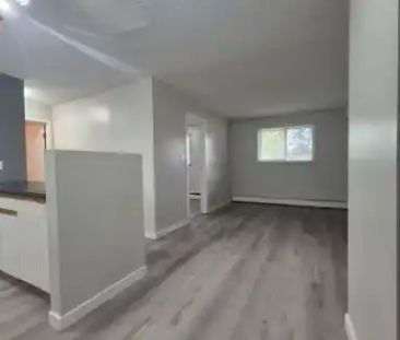 1/2 Month FREE - PREMIUM 1 Bedroom Suite - Available Immediately | ... - Photo 1