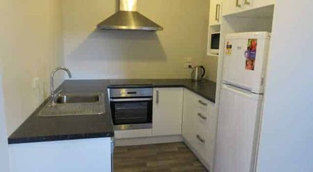 Fully Furnished Studio Unit - Photo 4