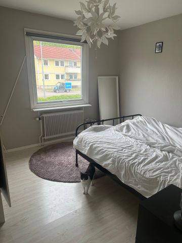 Göteborgsvägen, Uddevalla - Foto 3