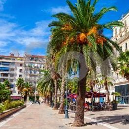 Appartement 1 pièce(s) 10.44 m² - Photo 2