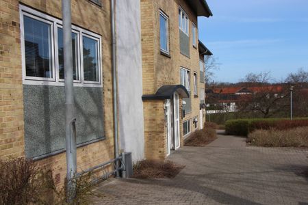 7800, Skive - Foto 4