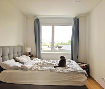Stadt Haag Zentrum! Sonnige 2-Zimmer-Wohnung mit Balkon und herrlic... - Photo 5