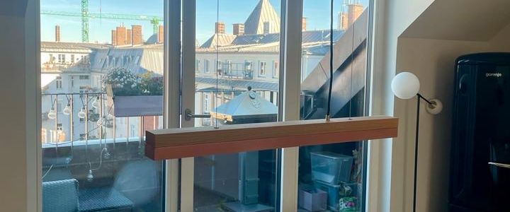 Tausch: Sonnige moderne Dachterrassenwohnung in Neuhausen - Photo 1