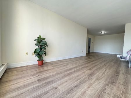 For Lease - 563 Mornington Avenue Unit# 506, London East, Ontario - Photo 3