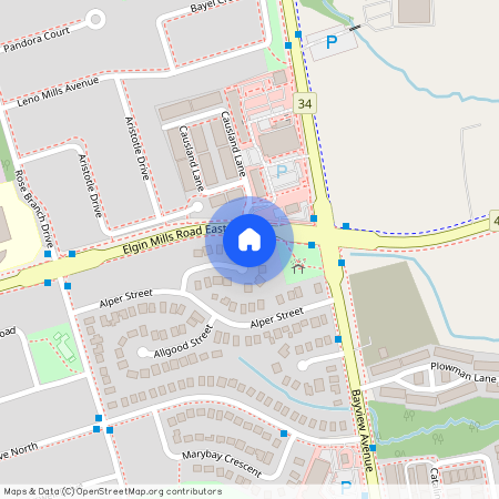 431 Oceanside Avenue, Richmond Hill