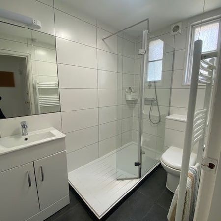 1 Bed Flat, Aylesford Street, SW1V - Photo 4