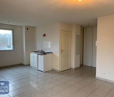 Location Appartement 2 pièces 46m² STIRING WENDEL 57350 - Photo 3