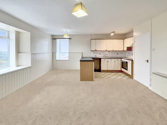 3 bedroom flat to rent - Photo 1