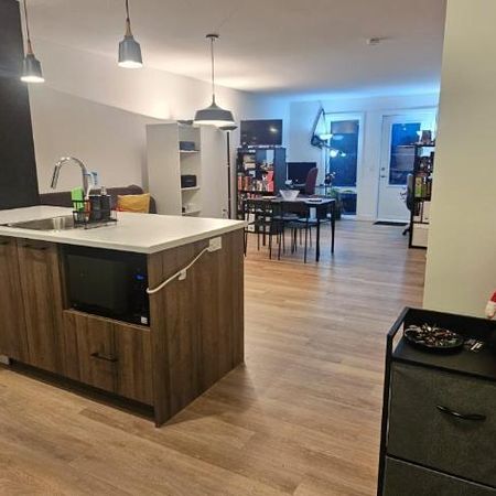 Cession de bail 1er février au 1er juillet - bail renouvelable - Photo 4