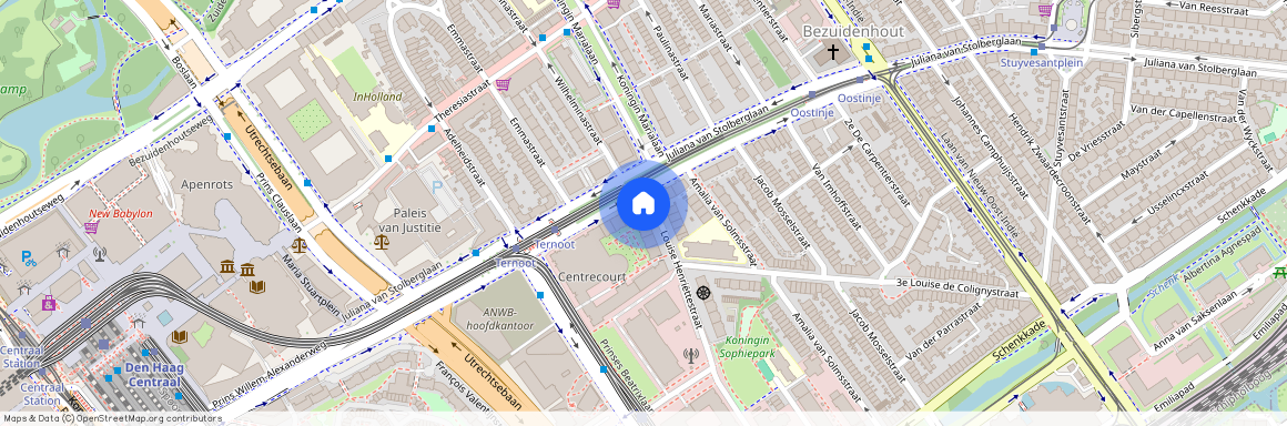 Louise Henriettestraat 21, 's-Gravenhage, 2595 TN, 'S-Gravenhage