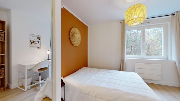 BENJAMIN Roommate 3 Bedrooms at Lille - Photo 1