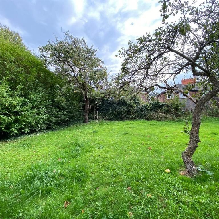 3 bedroom house to rent - Photo 1