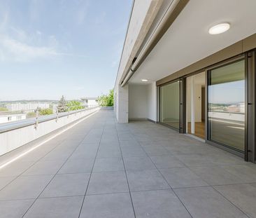 3.5 Zimmer, 155 m² - Photo 4