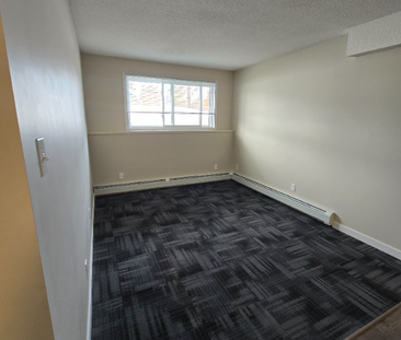 Beautiful renovated ground floor 1 bedroom available now! - Photo 6