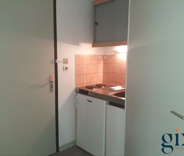 Location Appartement 1 pièce 19m² GRENOBLE 38100 - Photo 1