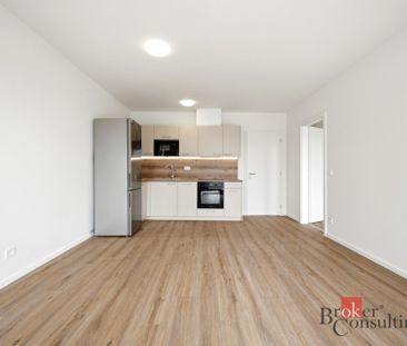 Apartment for rent, 2+kk - 1 bedroom, 55m - Photo 4