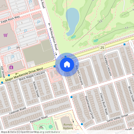 667 Peter Rupert Avenue, Vaughan