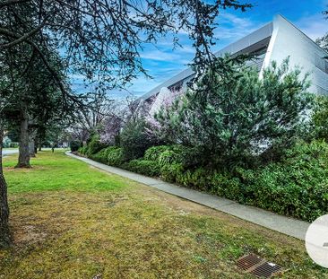 4/8 Giles Street, Kingston ACT 2604 - Apartment For Rent | Domain - Photo 5