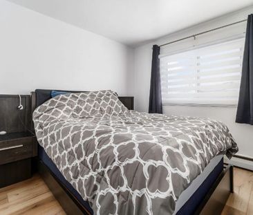 Appartement 3 ½ à louer Beauport janvier 2026 - Photo 2