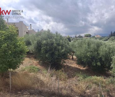 Μονοκατοικία για ενοικίαση Κάτω Καλέσια (Γάζι) - Photo 5