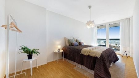 There are only good prospects here - Photo 3