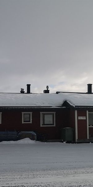 Ringvägen 13B - Foto 1