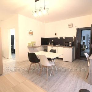 Centre-ville, Location appartement 1 pièce 32 m² - Photo 2