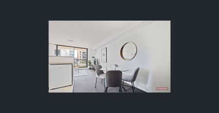 Newly renovated in the heart of Bankstown - Photo 4