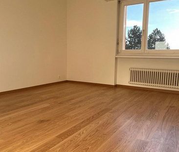 Grosse Wohnung im schönen Richterswil - Foto 6