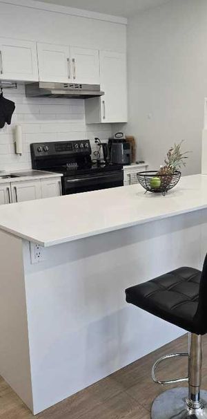 Cession de bail – 3 ½ rénové à Hochelaga – Disponible maintenant - Photo 1