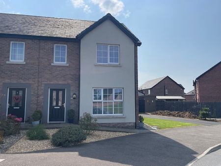 64 Drumford Meadow, Portadown, Craigavon, BT63 5GD - Photo 5