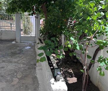 Μονοκατοικία για ενοικίαση Άγιος Λουκάς (Λαμία) - Photo 3