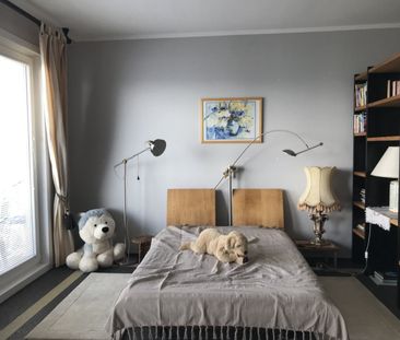 Donauparkblick! Spacious studio apartment on a higher floor for sho... - Photo 4