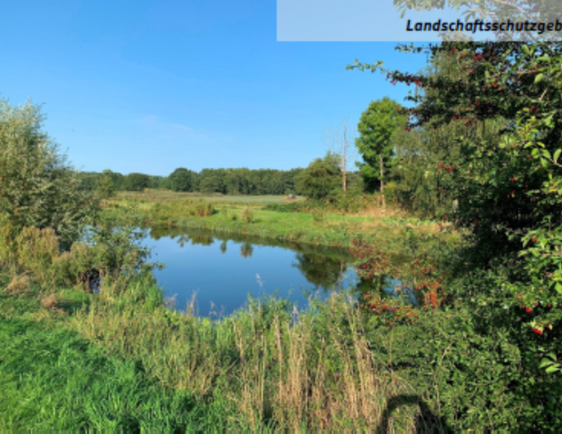 Sonnige 3 Zimmer Wohnung mit Balkon und Garage - Photo 1