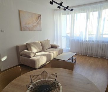 Rataje, zieleń, blisko Malty, świetna komunikacja - Photo 3