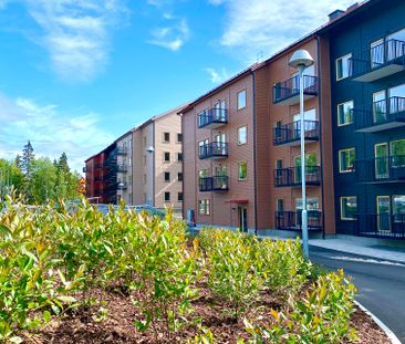 Tegnérgatan, Sundsvall - Photo 1