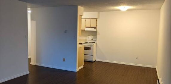 1 Bedroom on Kits Point with new kitchen - Photo 2