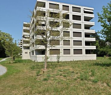 Êtes-vous à la recherche d’une norme d’expansion au-dessus de la no... - Foto 1