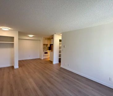 Castleview — Modern & Spacious 2 Bed 1 Bath - HEAT & WATER INCLUDED... - Photo 4