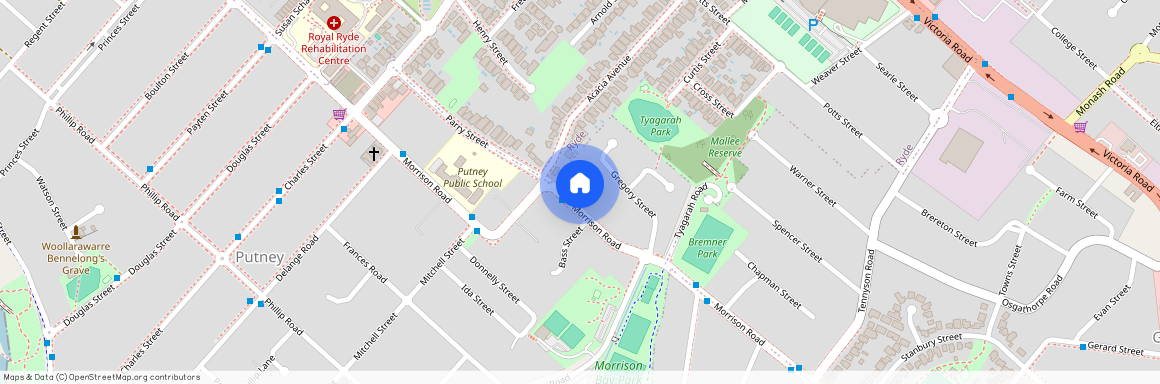 163 Morrison Road, NSW 2112, Putney