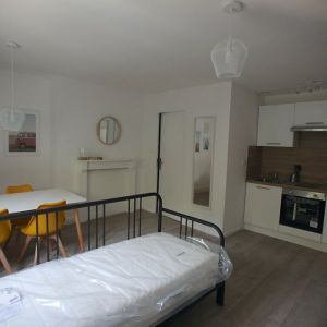 Appartement 1 pièce à Lille - Photo 2