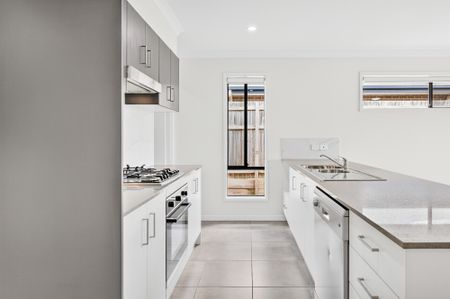 45 Trailblazer Drive, Flagstone QLD 4280 - House For Rent | Domain - Photo 3