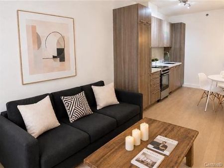 1220 Rue Crescent Montréal (Ville-Marie), QC H3G - Photo 2