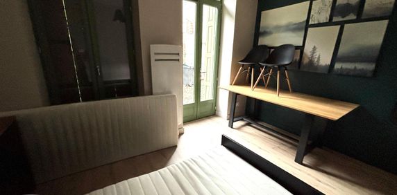 Location Appartement 1 pièce 17m² ST ETIENNE 42100 - Photo 2