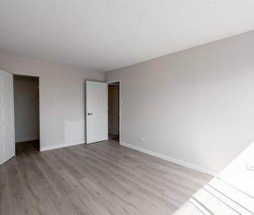 Sunny And Renovated 4 1/2 - Saint Laurent - 335 Boulevard Deguire, ... - Photo 1