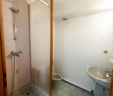 Location Appartement 1 pièce 16m² ST LOUIS 68300 - Photo 5