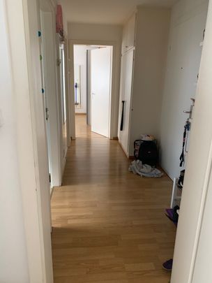 Locataire subséquent par 1.12.2021 pour lumineux 2 Chambre appartement à 4142 Munich - Foto 1