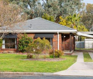 Sunny Sunwood! - Photo 1